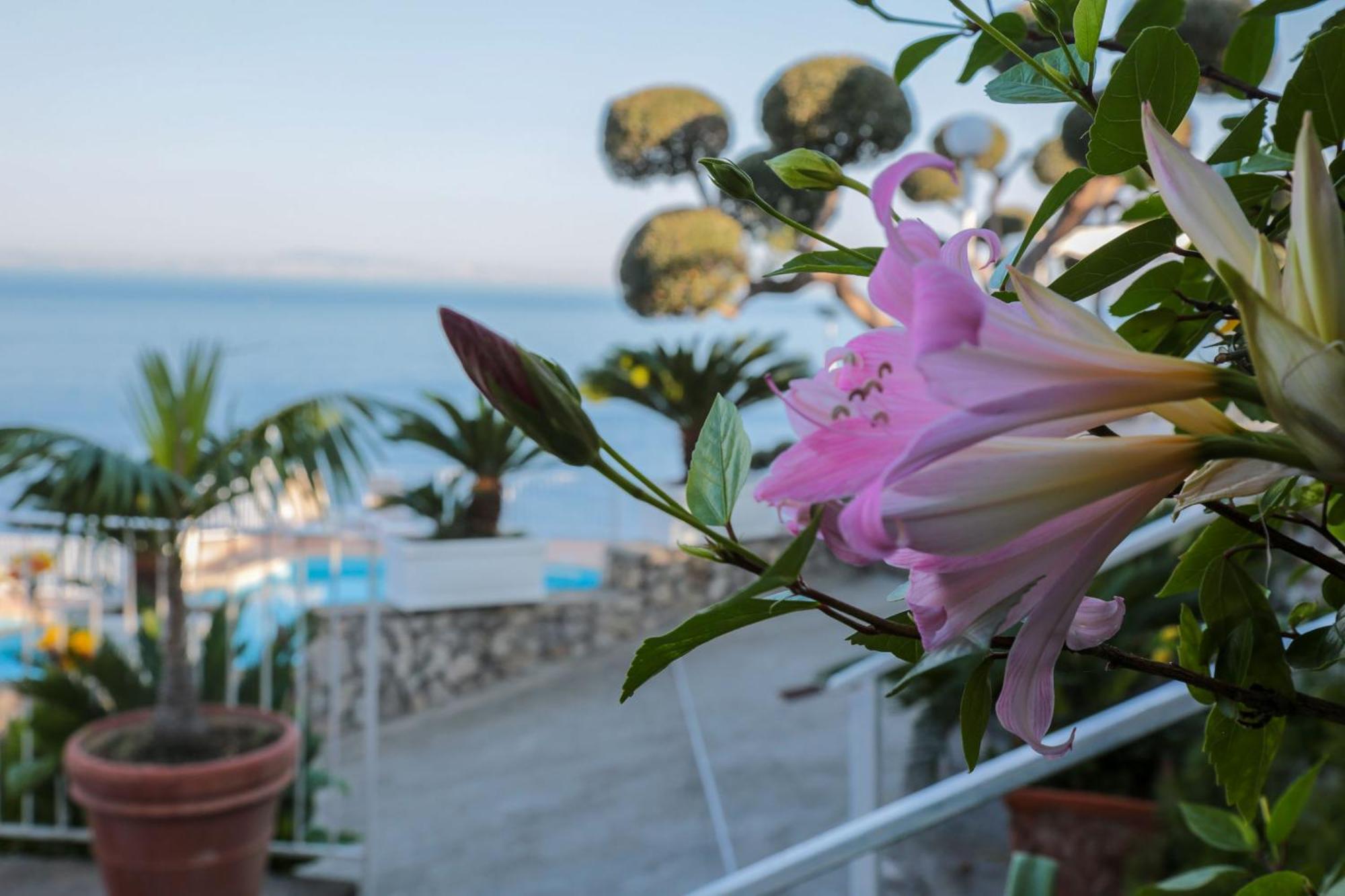 Hotel Villa Lubrense Sorrento Massa Lubrense Exterior photo